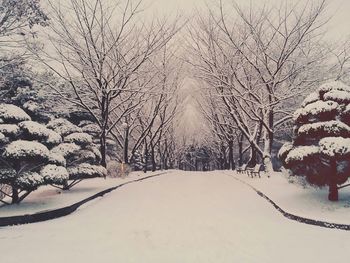 Snow covered landscape