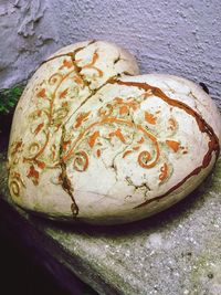 Close-up of bread