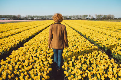 Rear view of woman standing on field