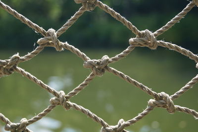 Close-up of rope against lake