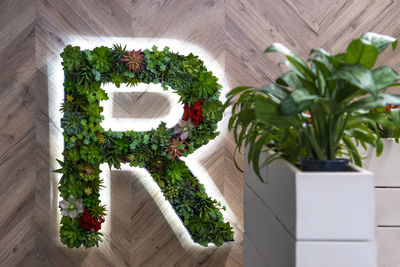 High angle view of potted plants