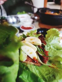 Close-up of meal served in plate