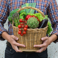 Assortment of ripe vegetables from orchard in farmer hands. harvest concept, farm, market delivery