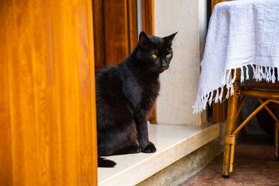 Black cat sitting in front of the door 