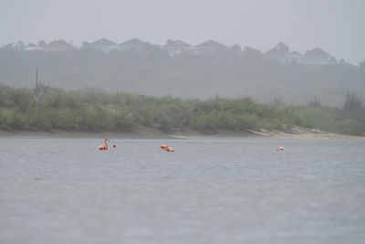 People kayaking in sea