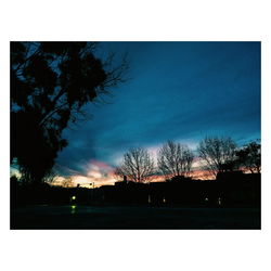 Silhouette trees against sky during sunset