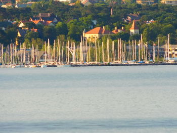 Sailboats in sea