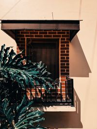 Potted plant on staircase of building