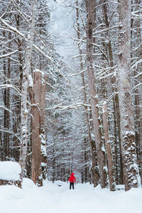 Rear view of person on snow covered land