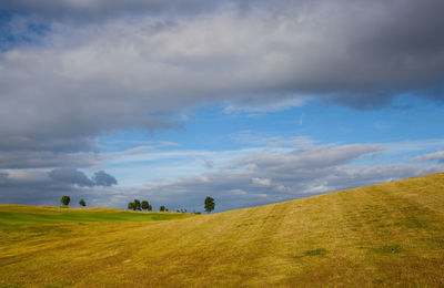 Scenic view of field against sky