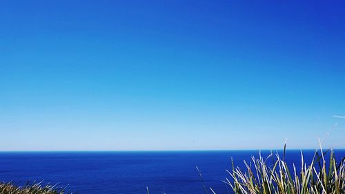 View of blue sea against clear sky