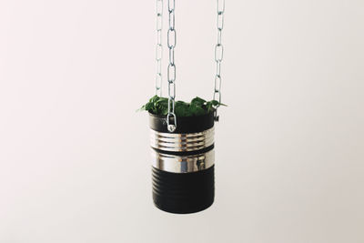 Close-up of potted plant against white background