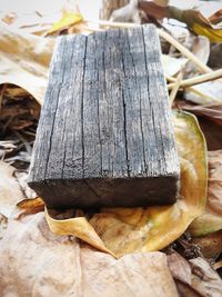 Close-up of bread on wooden table