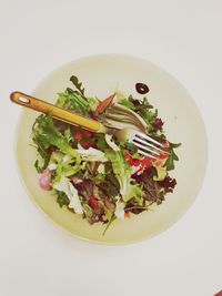 Close-up of salad in plate