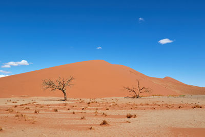 Sand dune in namib-naukluft national park