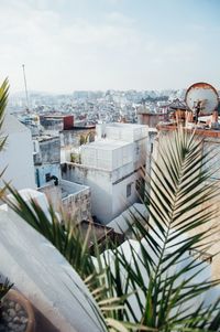 View of tree against sky