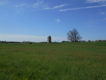 grassland