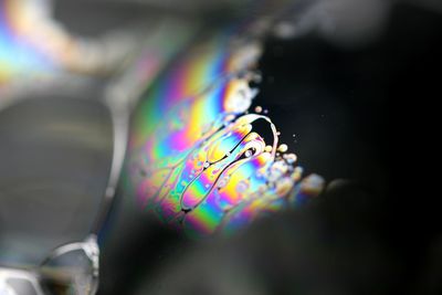 High angle view of multi colored water drops