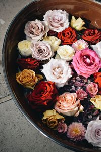 High angle view of flowers in water 