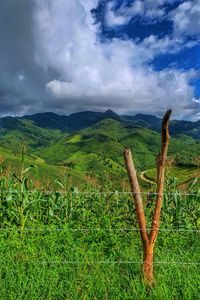Scenic view of green landscape against cloudy sky
