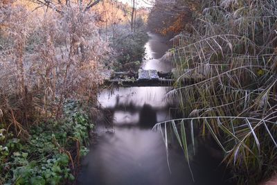 High angle view of broken bridge over canal amidst plants during winter
