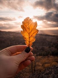 Close-up of hand holding yellow flower against sky during sunset