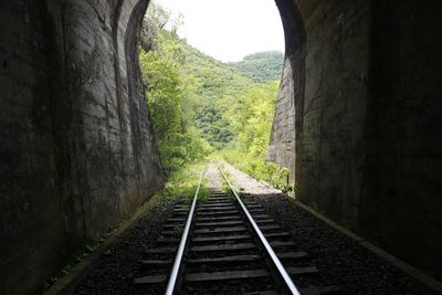 Railroad track amidst trees against sky