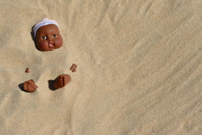 High angle view of doll buried in sand at beach