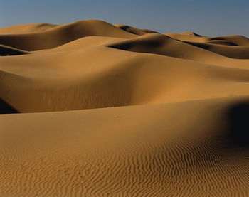 Sand dunes in a desert