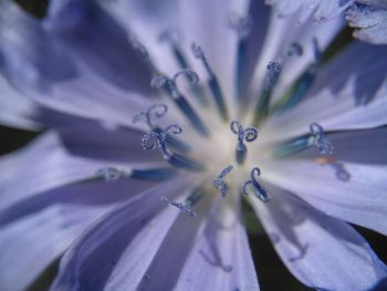 Full frame shot of water