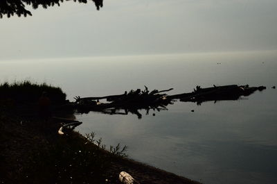 Silhouette birds on lake against sky at sunset