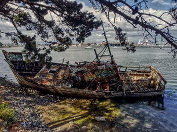 Abandoned boat against trees