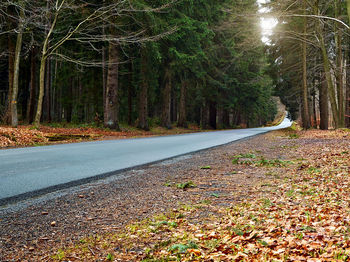 Road passing through forest