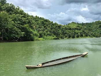 Green at kaptai lake, rangamati