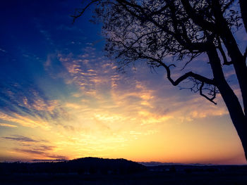 Silhouette trees against dramatic sky during sunset