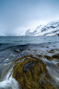 Scenic view of sea against sky during winter