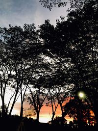 Low angle view of silhouette trees against sky during sunset