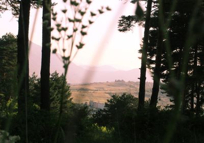 Scenic view of landscape against sky during sunset