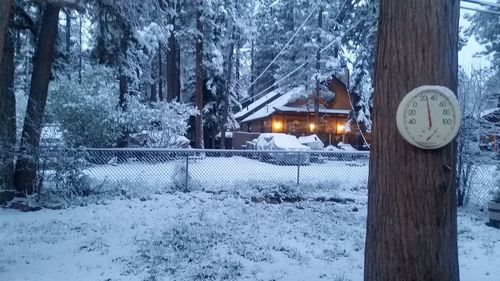 Snow covered land and trees during winter