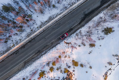High angle view of snow covered plants by car