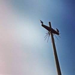 Low angle view of tree against sky