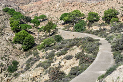 High angle view of road