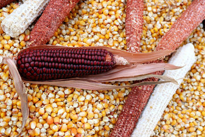 Close-up of corn