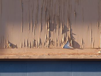 Peeling paint on a wall