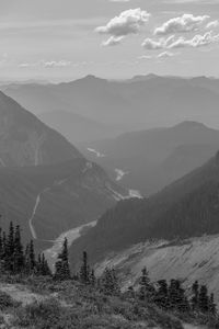 Mount rainier national park in washington state, view of the nisqually river valley from paradise