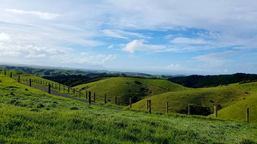 Scenic view of agricultural field against sky