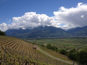 Scenic view of field against cloudy sky