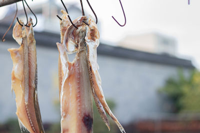 Various sun-dried meat