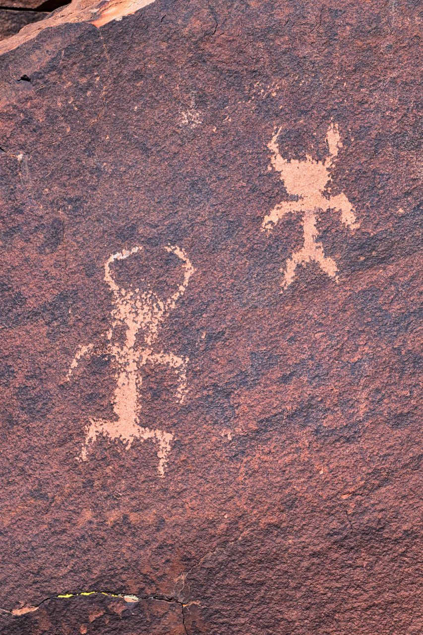 no people, soil, day, textured, outdoors, nature, creativity, full frame, representation, brown, rock, land, high angle view, close-up, animal representation, pattern