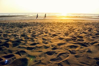 View of calm beach at sunset